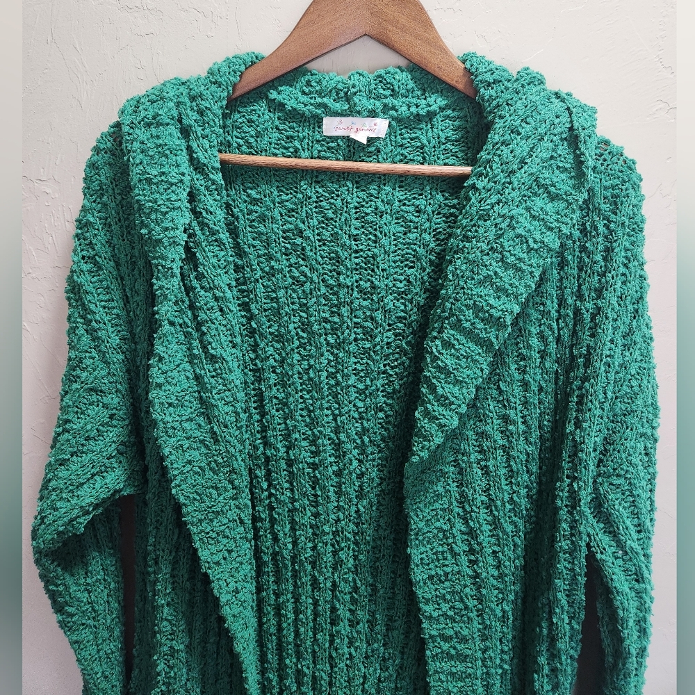 Sweet Generis Sft Knit Green Long Cardigan Sweater with Pockets - Picture 4 of 9